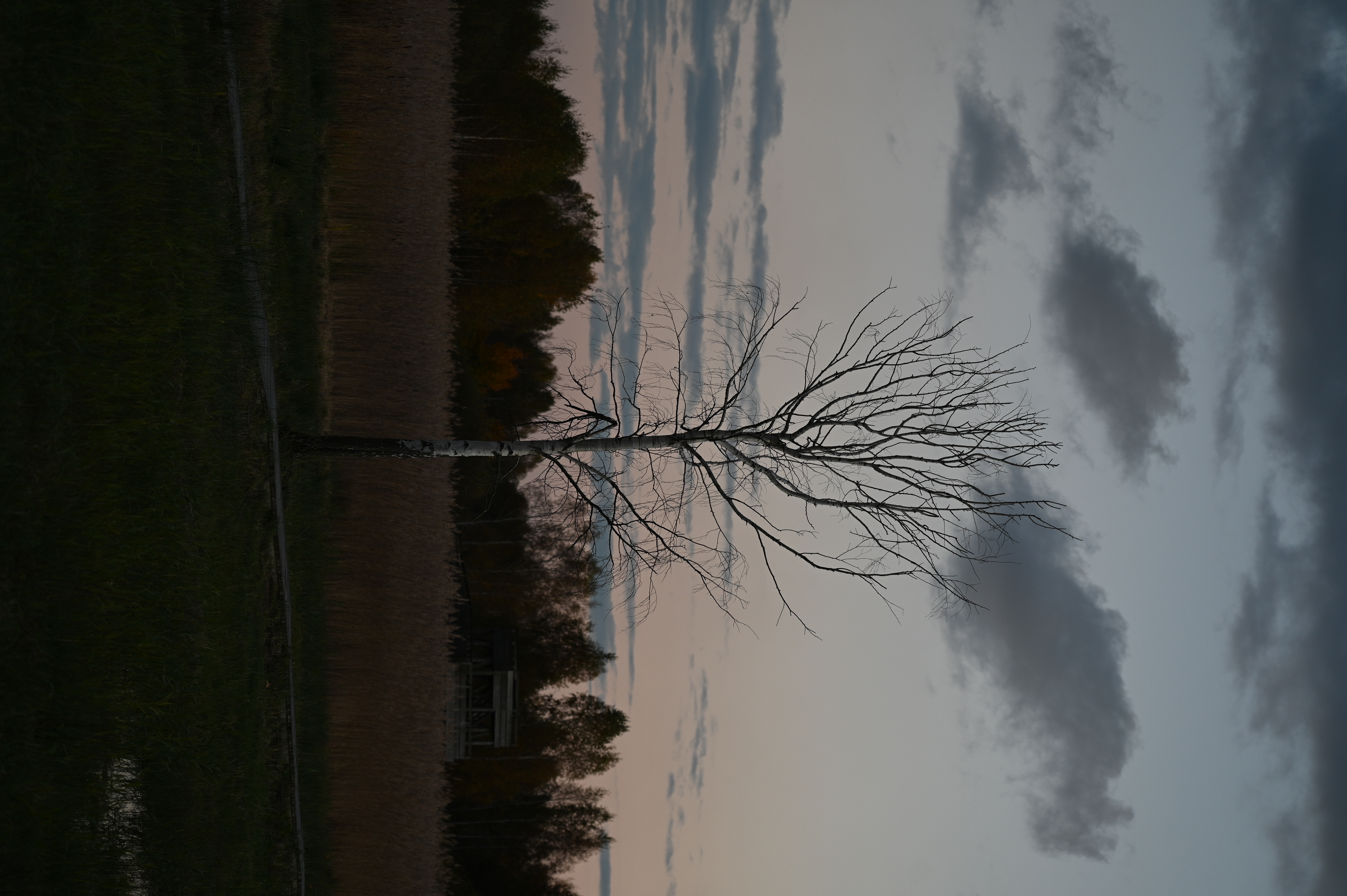 2025/10/18 - walk/DSC_0571.JPG